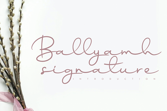 Ballyamh Signature: A Stylish Script Font