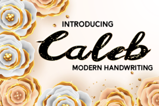 Caleb: A Stylish Script Font for Web Design