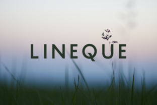 Lineque: A Modern Sans Serif Font