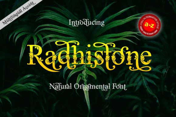 Radhistone: Elegant Serif Font for Crafts