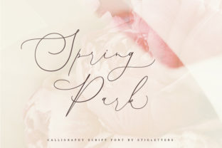 Spring Park Font: Elegant Script for Web Design