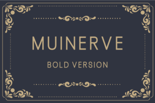 Why Muinerve Bold is a Web Designer’s Must-Have